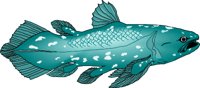 COELACAN.WMF