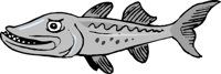 CCUDA.WMF