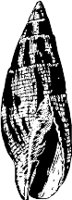 CC000526.WMF