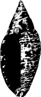CC000525.WMF