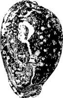 CC000524.WMF