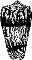 CC000523.WMF