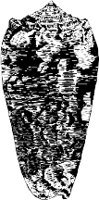CC000522.WMF