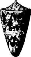 CC000521.WMF
