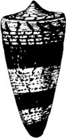 CC000520.WMF