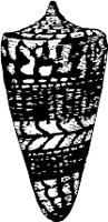 CC000519.WMF