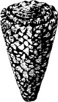 CC000518.WMF