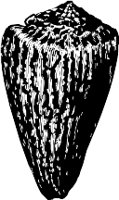 CC000517.WMF