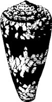 CC000516.WMF