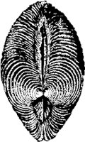 CC000512.WMF