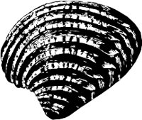 CC000509.WMF