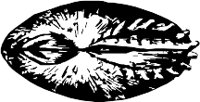 CC000508.WMF