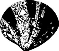 CC000505.WMF