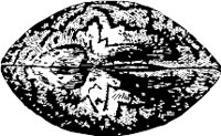 CC000504.WMF