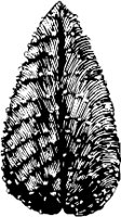CC000503.WMF