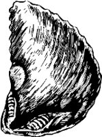 CC000501.WMF