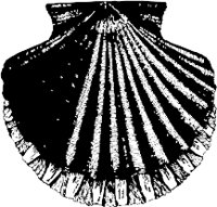 CC000499.WMF