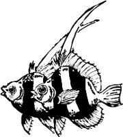 CC000460.WMF