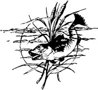 CC000156.WMF