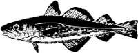 CC000111.WMF