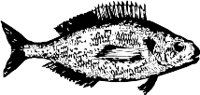 CC000110.WMF