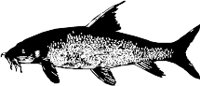 CC000109.WMF