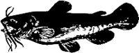 CC000108.WMF