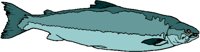 Bit1163.wmf