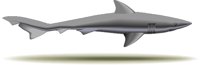 Bit0389.wmf
