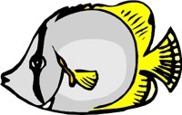 BTRFLY2.WMF