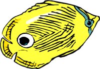 BTRFLY.WMF