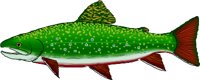 BRTROUT.WMF