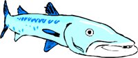 BRCUDA2.WMF