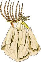 BARNACLE.WMF