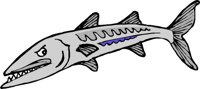 BARACUDA.WMF