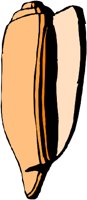 ANSSG097.WMF