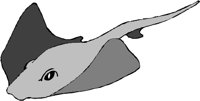 ANSSG096.WMF