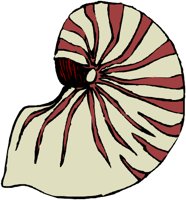 ANSSG077.WMF