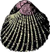 AG000461.WMF