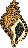 AG000459.WMF