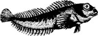 AG000457.WMF