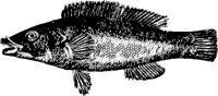 AG000456.WMF