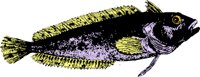 AG000455.WMF