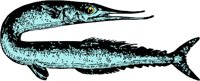 AG000453.WMF