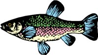 AG000452.WMF