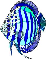 gc000312.wmf