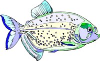 gc000311.wmf