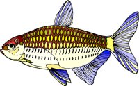 gc000310.wmf
