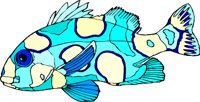 gc000290.wmf