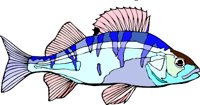 gc000285.wmf
